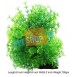 Ceratophylum Jungle Plant